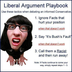 Liberal Argument Playbook