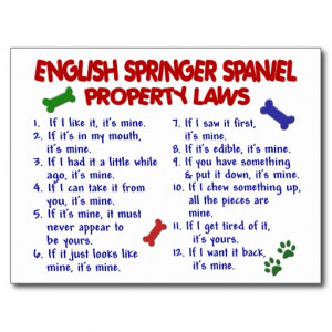 English Springer Spaniel Clip Art