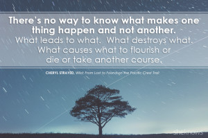 In my perception, the world wasn't a graph or formula or an ...