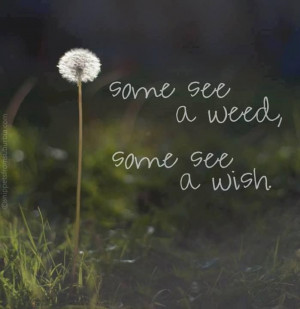 wisher.....picked many a dandelion...