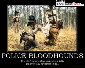Police Bloodhounds They Don’t mind sniffing each other’s butts But ...