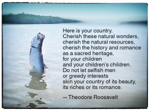 Conservation quote from Theodore Roosevelt.