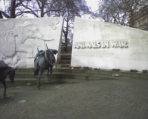 THE ANIMALS IN WAR MEMORIAL