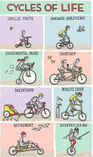 Cycles Of Life