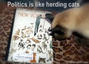new yorker-cats-herding-quote