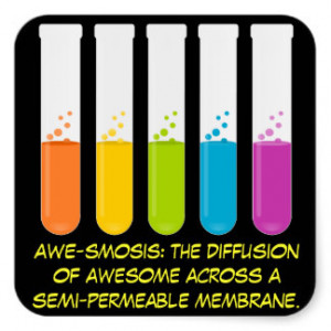 Biology & Chemistry Teachers: Science is Awesome Square Stickers