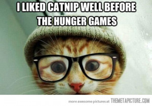 Funny photos funny hipster kitten glasses