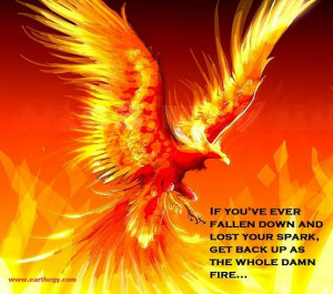 phoenix rising