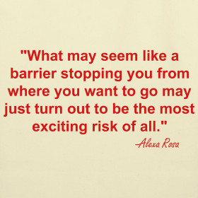 Design ~ Barriers Quote