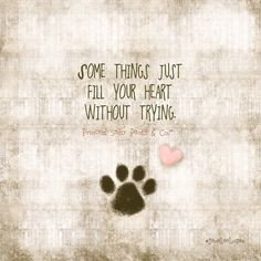 quotes that will make you love your dog more more dogs puppys quotes ...