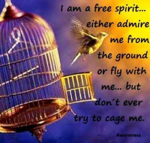 ... admire from the ground or fly with me...but don't ever try to cage me