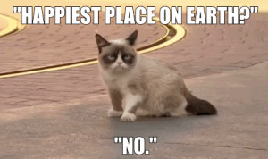 ... Worst Day At Disneyland Ever. Grumpy Cat Quotes #GrumpyCat #Meme #