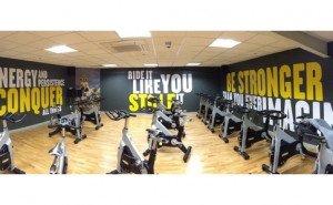 Cut vinyl wording applied directly onto the gym walls