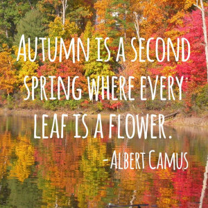 garden #landscape #inspirational: Gardens Quotes, Autumn Wint, Fall ...