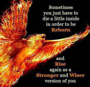 Sometimes you just have to die a little inside in order to be Reborn ...