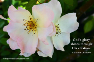 God's glory shines through His creation. ~ Author Unknown