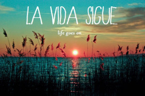 la vida sigue #life goes on #hipster #awesome #nature #quote #spanish ...