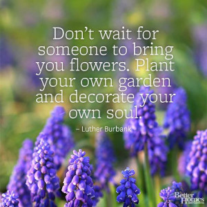 ... . Plant your own garden and decorate your own soul.