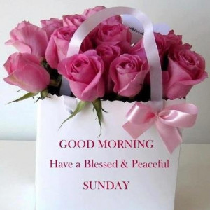 Back > Quotes For > Blessed Sunday Morning Quotes