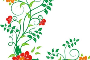 Funny Quotes Contact Us DMCA Notice