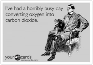 converting oxygen into carbon dioxide