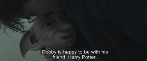 ... and it hit dobby in the chest killing him clip or quote if applicable