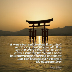 thumbnail of quotes A warrior cultivates the mind and body...but above ...