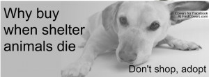 Animal Rescue Profile Facebook Covers