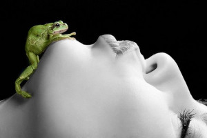 frog kiss tags frog kiss