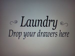 Laundry-Funny-Quote-wall-decal-8-x22-wall-art-home-decor-vinyl-sticker
