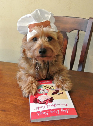 ... very fun and eye-catching. It belongs in every dog lover's kitchen