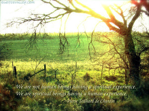 We Are Not Human Beings Having A Spiritual Experience