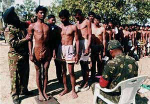 Dolly The Cloned Sheep