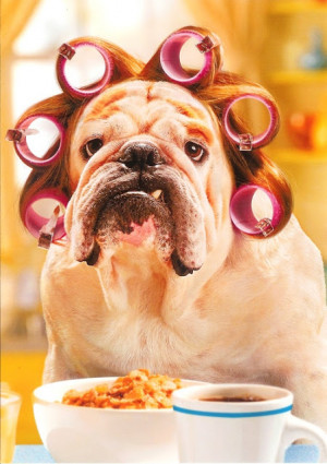 Funny Good Morning Dog Curlers Cereal Coffee Picture