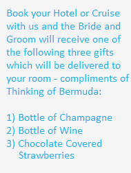 Destination Wedding in Bermuda: 5 Tips to Make it Perfect