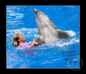 Dolphin Trainer Seaworld Dolphin trainer and happy