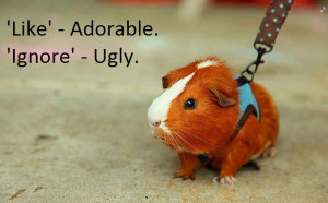 Found on quotesonimages.com