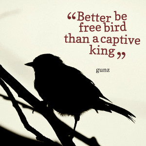 Quotes Picture: better be free bird than a captive king