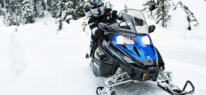 Funny Quotes Contact Dmca