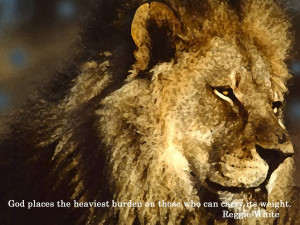 Lifestyle. Ayurveda. Wellness