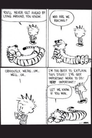 Calvin and Hobbes by Bill Watterso>n!
