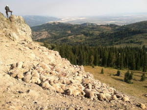 why anti hunters are dead wrong about wolves