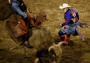 Rodeo Bullfighter Bull fighter not quite ready