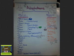 5th grade life science anchor chart for animal adaptations, sorting ...