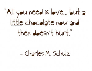 I Love Chocolate Quotes. QuotesGram
