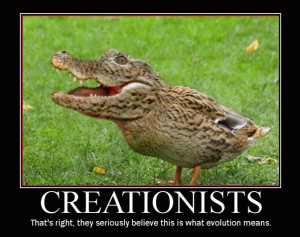 La selección natural es elegante, lógica y notoria, pero difícil de ...