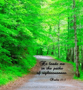 He leads me in the paths of righteousness.