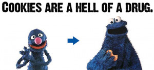 Funny photos funny cookie monster muppets