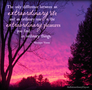 Stunning Sunset - Extraordinary Life quote - AnExtraordinaryDay.net