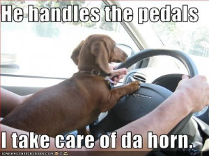 Funny Dachshund Pictures with Captions | …